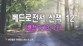 [말씀 산책] 베드로전서 산책12 ㅣ 벧전 2장 13-17절