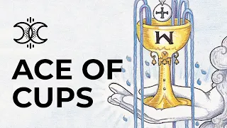 Ace of Cups 🌊Quick Tarot Card Meanings 🌊Tarot.com