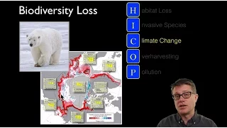 Loss of Biodiversity