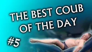 The best coub of the day #5 | Куб- лучшее за день #5