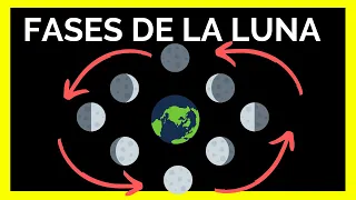 CUÁLES son las FASES de la LUNA 🌙