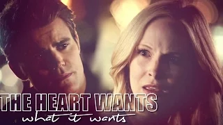 ● Caroline & Stefan (+ Katherine) AU || The Heart Wants What It Wants ●