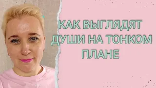 КАК ВЫГЛЯДЯТ ДУШИ НА ТОНКОМ ПЛАНЕ