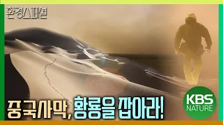 중국사막, 황룡의 분노! 사막화 쓰나미 돈황을 덮치다  [UN사막화방지협약 총회 특집-잃어버린 오아시스 1편 황룡의 분노] / KBS 20111012 방송