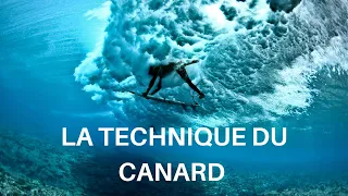 APPRENDRE LA TECHNIQUE DU CANARD/SURF EN 3 ETAPES