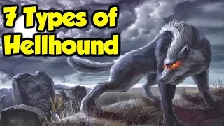 What Are Hellhounds? - 7 Types of Hellhound From Great Britain & The Rest of Europe