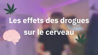 Les effets des drogues sur le cerveau