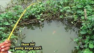 Ahirnya Saya Strike juga ikan TUMBRO/Mas Liaran Di Lamongan