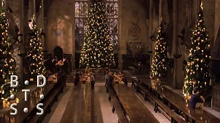 5. "Harry Sits by Fire in Great Hall" Harry Potter and the Philosopher's Stone Deleted Scenes