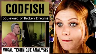 Vocal Coach Reacts to BEATBOX! CODFISH - “Boulevard Of Broken Dreams” (Analysis)