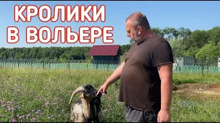 РАЗВЕДЕНИЕ КРОЛИКОВ В ВОЛЬЕРАХ. ЧАСТЬ 4