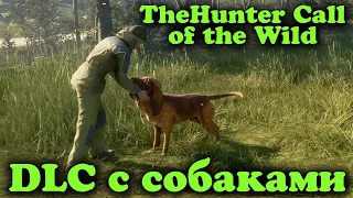 Собаки ищейки в игре theHunter: Call of the Wild