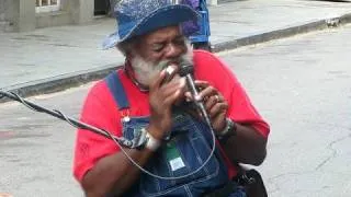 singing the blues on the french quarter