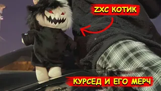 КУРСЕД ПРО СВОЙ МЕРЧ "ZXC КОТИКОВ"