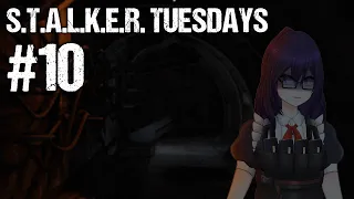 STALKER TUESDAY // Daily Operation //