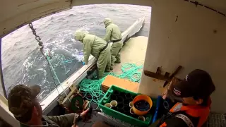 Lobster trip out of Cape Sable Island