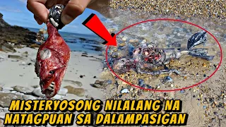 MISTERYOSONG NILALANG NA NATAGPUAN SA DALAMPASIGAN | WOWMAZING STORIES