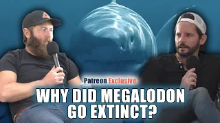 3 Reasons Megalodon Went Extinct