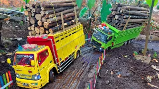 🔥The Power of RC Trucks Through FLOOD and muddy track