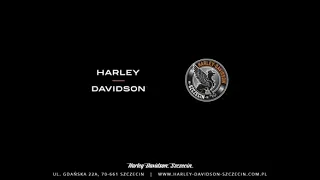 Harley-Davidson Fat Boy 131ci