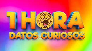 1 HORA DE DATOS CURIOSOS Y CURIOSIDADES! ⏰😲