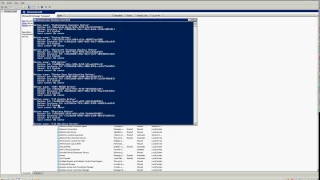 How to issue the vssadmin command in any server for successful backup