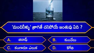 Interesting Questions In Telugu|Episode-4|By Rk thoughts|Unknown Facts|General Knowledge|Telugu Quiz