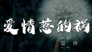 愛情惹的禍 - 雷婷『都是愛情惹的禍 每次都讓我苦苦受折磨』【動態歌詞Lyrics】