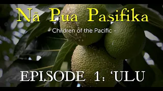 "Nā Pua Pasifika" - Episode 1 'Ulu