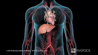 LDL and HDL Cholesterol