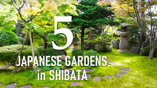 5 Japanese Gardens in Shibata Suitable for Growing Moss