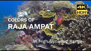 DIVING RAJA AMPAT CORAL REEFS WITH PAPUA DIVING | 4K HDR VIDEO ULTRA HD | SONY HXR-NX80 HLG (2021)