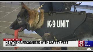 K9 Athena receives vest from VIK9s