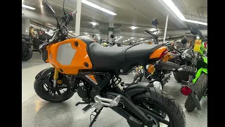 2024 Honda Grom MiniMOTO - Rutland VT