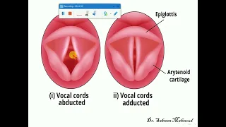 20- Anatomy of the larynx شرح
