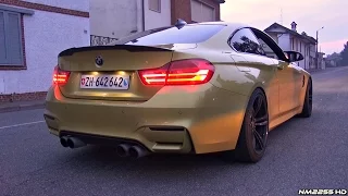 BMW M4 F82 with Eisenmann Catback + Akrapovic Catless Downpipes - LOUD Sound