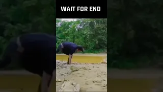 Wait for end . #shorts #memes #funny