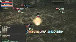 dvp (19.05.06) Spellsinger PVP