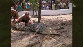 The Crocodile Hunter - Best Of Steve Irwin - S01 E02