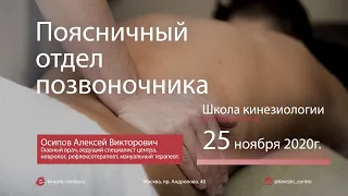 #11 Школа Кинезиологии. Поясничный отдел позвоночника. 25 ноября 2020г