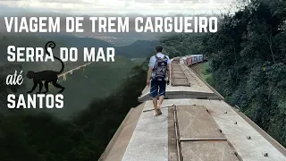 VIAGEM DE TREM CARGUEIRO - Pela Serra do Mar - Santos Parte 2