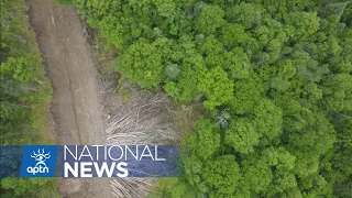 Feds sign $149M agreement with Huron-Wendat over harms from illegal sale of its land | APTN News