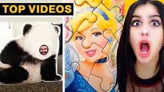 FUNNIEST DESIGN FAILS EVER!! | SSSniperWolf