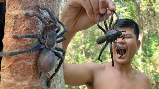 Find and Catch Wild Spider for Cook Eat to Survival