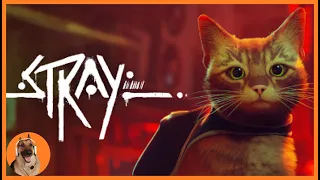 Stray - Finally Playing the Cat Game