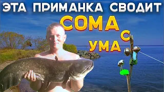 Лучшая приманка на СОМА. ЛОВЛЯ СОМА ДЕДОВСКИМ СПОСОБОМ НА ВОЙЛОК. КАК ЛОВИТЬ СОМА в 2023 году