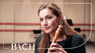 Musicians on the Brandenburg concertos | Netherlands Bach Society