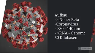 Die 3 Corona Impfstoffe erklärt (Biontech /Moderna / Astrazeneca)