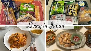 vlog | buy snack, grocery shopping, teatime with me, homey Korean lunch and dinner