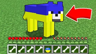 ЯК ГРАТИ ЗА УКРАЇНСЬКОГО ПСА У МАЙНКРАФТІ? Кавун Minecraft